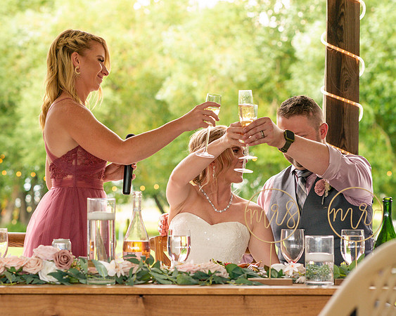 Dinner, Speeches, and Celebration - Daniel Wedding 2022 CLH-28