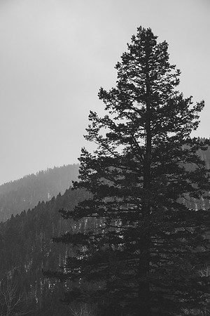 Winter's Departure. Bozeman, Montana 2023