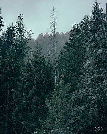 Holocene. Bozeman, Montana. 2023