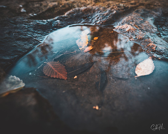 Lightly Submerged. Billings, Montana. 2022