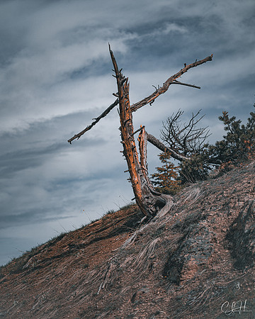 This Way Up, That Way Down. Bozeman, Montana. 2023