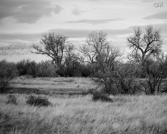 The Calling. Billings, Montana. 2022