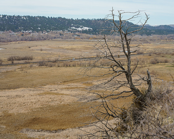 Train Track Overlook. Columbus, Montana. 2023