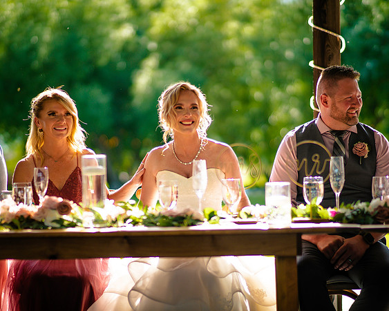 Dinner, Speeches, _ Celebration - Daniel Wedding 2022-CJ-04