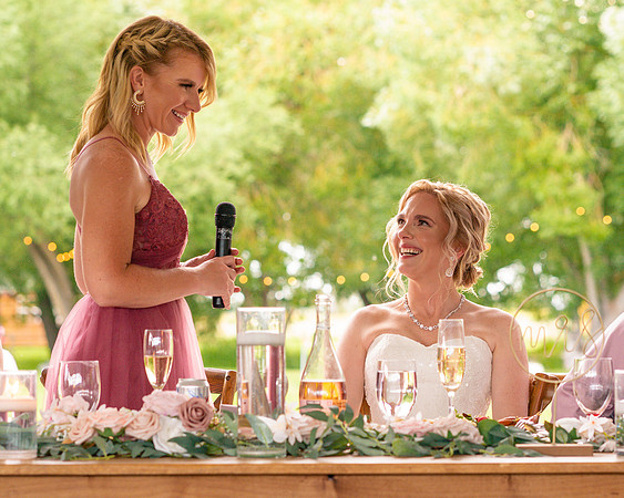 Dinner, Speeches, and Celebration - Daniel Wedding 2022 CLH-24