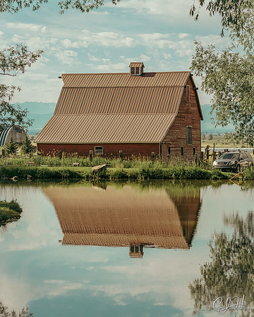 Barnside Reflection. Belgrade, Montana. 2022