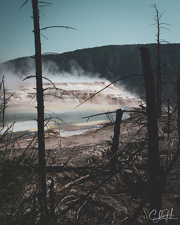 Upper Hot Springs. Mammoth Hot Springs, Yellowstone National Park. 2020