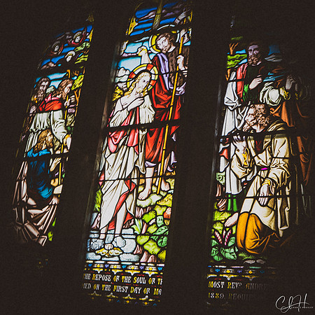 Stained Narrative. Killarney, Ireland. 2019