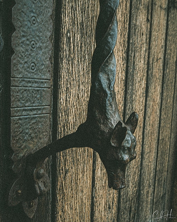 Wolf Door Handle. Limerick, Ireland. 2019