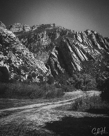 Nestled in the Mountains. About 40 Miles South of Ten Sleep, Wyoming. 2020