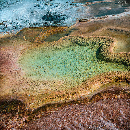 Forbidden Soup. Mammoth Hot Springs, Yellowstone National Park. 2020